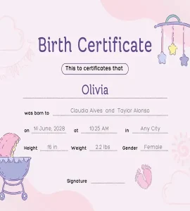 Novelty Birth Certificate